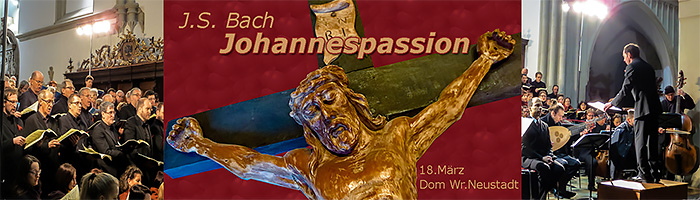Bildleiste -Johannespassion der Chorszene Niederösterrreich im Dom Wr.Neustadt, zusammengestellt von Josef Strassner